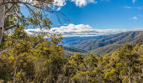 Wallace Creek Lookout - Accommodation Newcastle 2