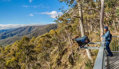 Wallace Creek Lookout - Accommodation Newcastle 3
