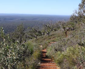Mount Dale Walk Trail - Accommodation Newcastle 0
