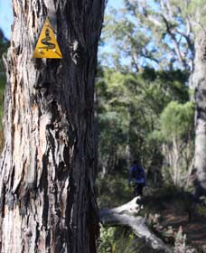 Mount Dale Walk Trail - Accommodation Newcastle 1