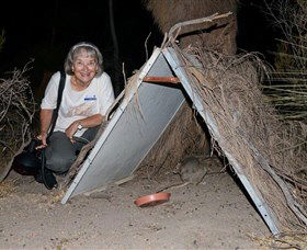 Barna Mia Native Animal Sanctuary - Accommodation Newcastle 3