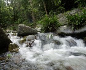 Washpool National Park - Accommodation Newcastle 0