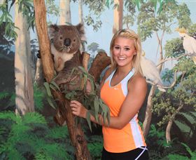 Maru Koala And Animal Park - Accommodation Newcastle 0