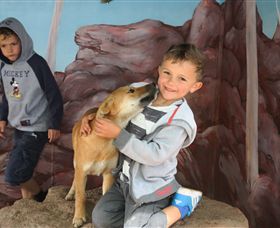 Maru Koala And Animal Park - Accommodation Newcastle 3
