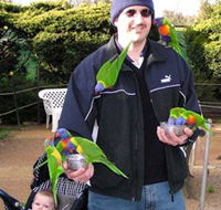 Canberra Walk In Aviary - Accommodation Newcastle