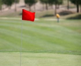 Gold Creek Country Club - Accommodation Newcastle 0