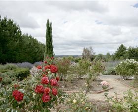 Crystal Brook Lavender Farm - Accommodation Newcastle 0
