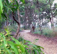 Mount Mutton Walking Trail - Accommodation Newcastle