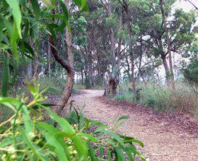 Mount Mutton Walking Trail - Accommodation Newcastle 0