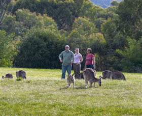 Tidbinbilla - Accommodation Newcastle 1