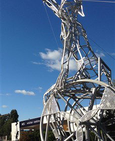 Australian Institute Of Sport (AIS) - Accommodation Newcastle 0