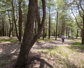 The National Arboretum Canberra - Accommodation Newcastle 3