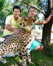 National Zoo & Aquarium - Accommodation Newcastle 0