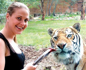 National Zoo & Aquarium - Accommodation Newcastle 1