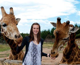 National Zoo & Aquarium - Accommodation Newcastle 2