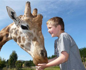 National Zoo & Aquarium - Accommodation Newcastle 3