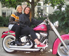 Wild Ride Harley And Motorcycle Tours - Accommodation Newcastle 0