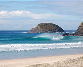 Surfaris Surf Camp - Accommodation Newcastle 4