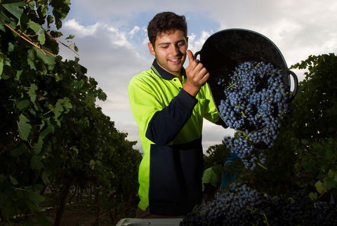 Clonakilla Wines - Accommodation Newcastle 3