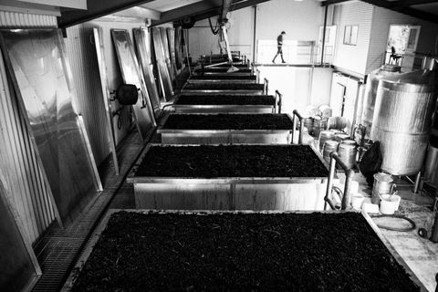 Clonakilla Wines - Accommodation Newcastle 9