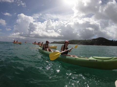Cape Byron Kayaks - Accommodation Newcastle 3