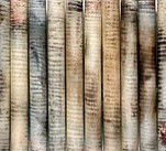 Kerrie Lowe Gallery - Accommodation Newcastle 0