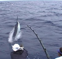 Amokura Charters - Accommodation Newcastle