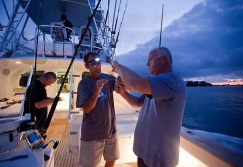 Amokura Charters - Accommodation Newcastle 1