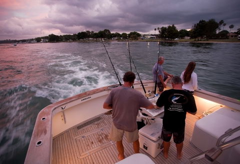 Amokura Charters - Accommodation Newcastle 3