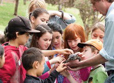 Blackbutt Reserve - Accommodation Newcastle 2
