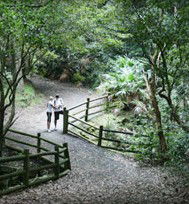 Blackbutt Reserve - Accommodation Newcastle 3