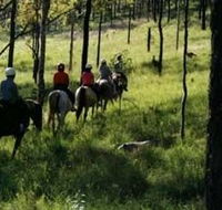 Hunter Valley Horse Riding and Adventures - Accommodation Newcastle