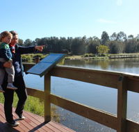Hunter Wetlands Centre Australia - Accommodation Newcastle