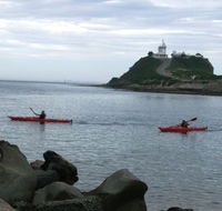 Newcastle Kayak Tours - Accommodation Newcastle