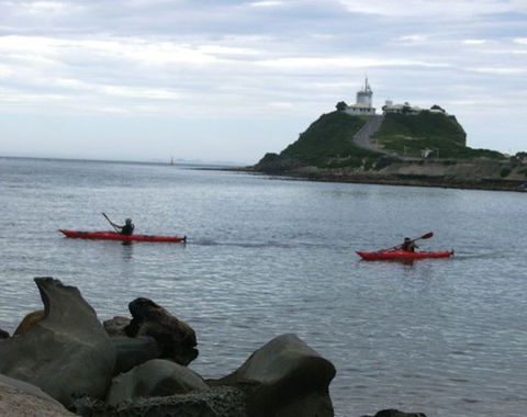 Newcastle Kayak Tours - Accommodation Newcastle 0