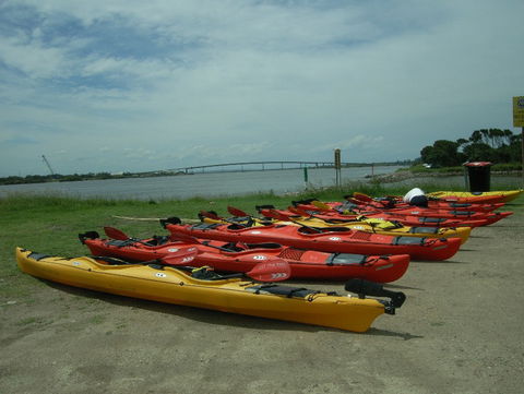 Newcastle Kayak Tours - Accommodation Newcastle 2