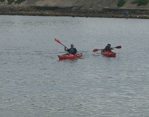 Newcastle Kayak Tours - Accommodation Newcastle 4