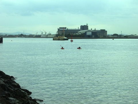 Newcastle Kayak Tours - Accommodation Newcastle 5