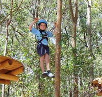 TreeTops Newcastle - Accommodation Newcastle
