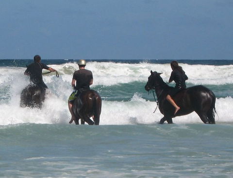 Pegasus Park Equestrian Centre - Accommodation Newcastle 0