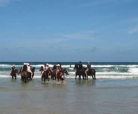 Pegasus Park Equestrian Centre - Accommodation Newcastle 2