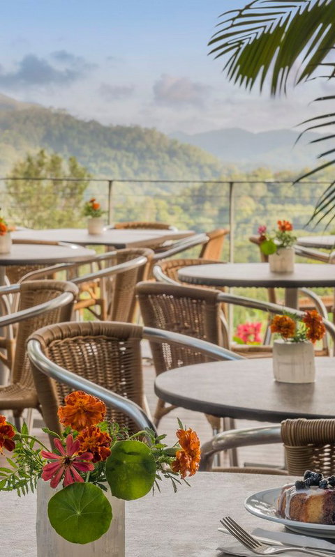 Crystal Castle & Shambhala Gardens - Accommodation Newcastle 2