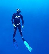 Byron Bay Dive Centre - Accommodation Newcastle 1