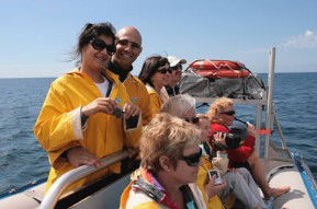 Byron Bay Dolphin Wildlife Tours - Accommodation Newcastle 2