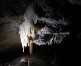 Country Charmâ„¢ Discovery Tours - Accommodation Newcastle 1
