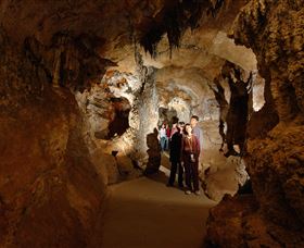 Country Charmâ„¢ Discovery Tours - Accommodation Newcastle 3