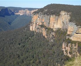 Country Charmâ„¢ Discovery Tours - Accommodation Newcastle 4
