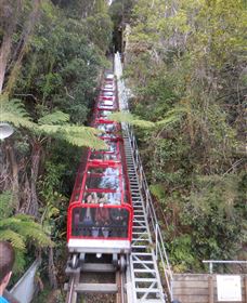 Country Charmâ„¢ Discovery Tours - Accommodation Newcastle 6