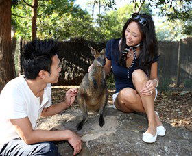 VIP Aussie Gold - Accommodation Newcastle 0