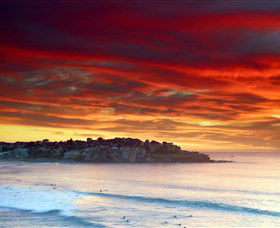 Aquabumps - Accommodation Newcastle 8